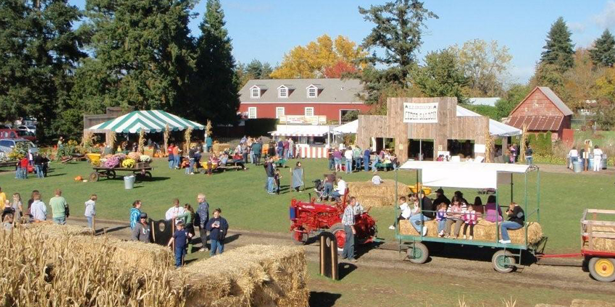 Agritourism Example - Farm Area