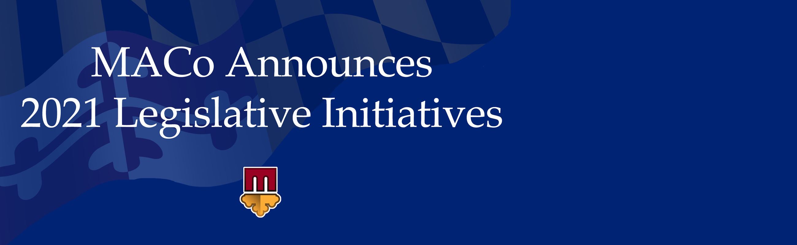 2021LegInitiativesBanner